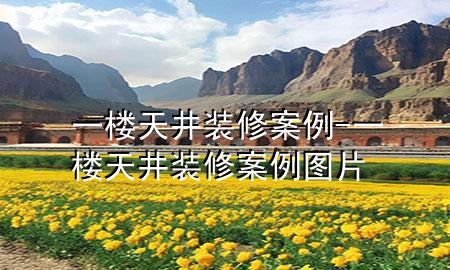一楼天井装修案例-一楼天井装修案例图片