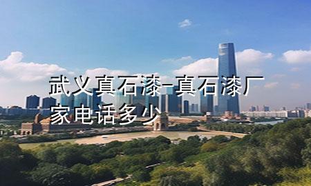 武义真石漆-真石漆厂家电话多少