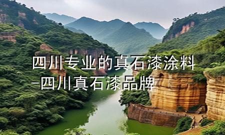 四川专业的真石漆涂料-四川真石漆品牌