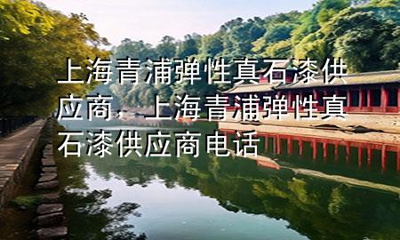 上海青浦弹性真石漆供应商，上海青浦弹性真石漆供应商电话