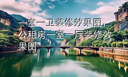 一室一卫装修效果图，公租房一室一厅装修效果图