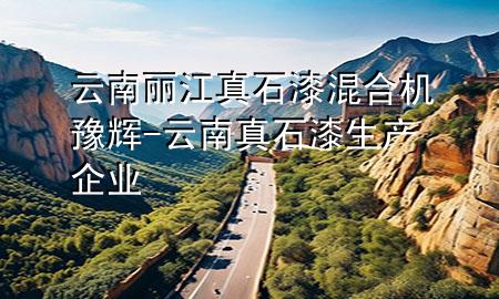 云南丽江真石漆混合机豫辉-云南真石漆生产企业