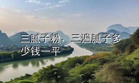 三腻子粉，三遍腻子多少钱一平