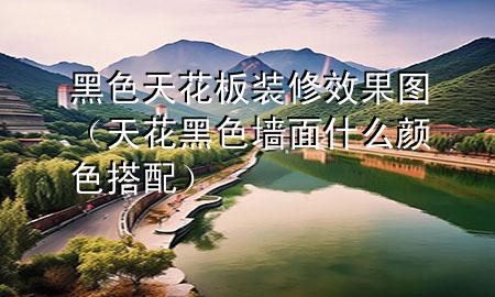 黑色天花板装修效果图（天花黑色墙面什么颜色搭配）