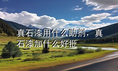 真石漆用什么助剂，真石漆加什么好批