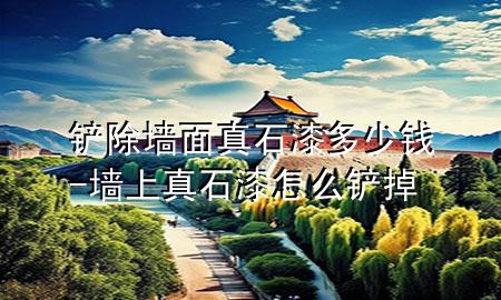 铲除墙面真石漆多少钱-墙上真石漆怎么铲掉