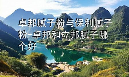 卓邦腻子粉与保利腻子粉-卓邦和立邦腻子哪个好