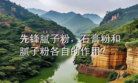 先锋腻子粉，石膏粉和腻子粉各自的作用?