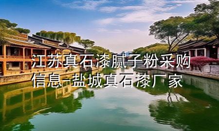 江苏真石漆腻子粉采购信息-盐城真石漆厂家