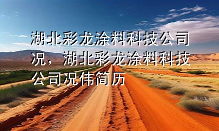湖北彩龙涂料科技公司 况，湖北彩龙涂料科技公司 况伟简历