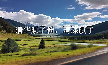清华腻子粉，清漆腻子
