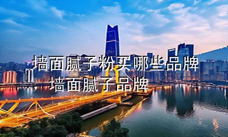 墙面腻子粉买哪些品牌，墙面腻子 品牌