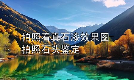 拍照看真石漆效果图-拍照石头鉴定