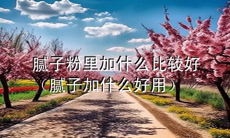 腻子粉里加什么比较好（腻子加什么好用）