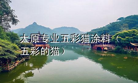 太原专业五彩猫涂料（五彩的猫）