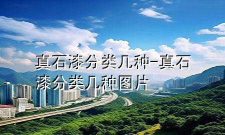 真石漆分类几种-真石漆分类几种图片