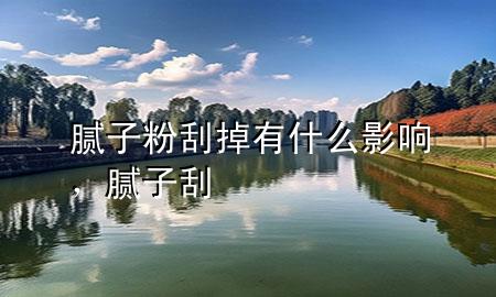 腻子粉刮掉有什么影响，腻子 刮