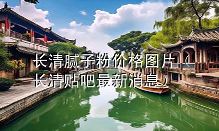 长清腻子粉价格图片（长清贴吧最新消息）