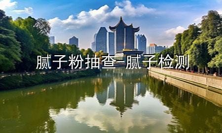 腻子粉抽查-腻子检测