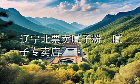 辽宁北票卖腻子粉，腻子专卖店
