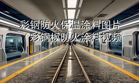 彩钢防火保温涂料图片（彩钢板防火涂料视频）