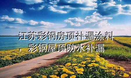 江苏彩钢房顶补漏涂料，彩钢屋顶防水补漏