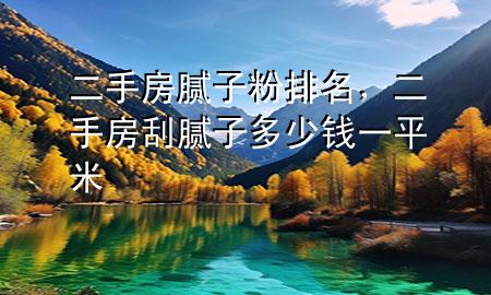 二手房腻子粉排名，二手房刮腻子多少钱一平米