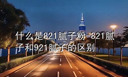 什么是821腻子粉-821腻子和921腻子的区别