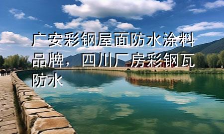 广安彩钢屋面防水涂料品牌，四川厂房彩钢瓦防水
