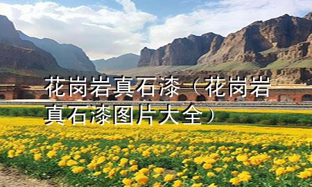 花岗岩真石漆（花岗岩真石漆图片大全）