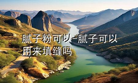腻子粉可以-腻子可以用来填缝吗