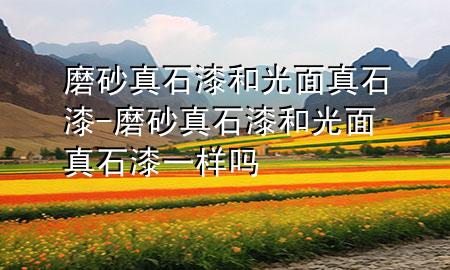 磨砂真石漆和光面真石漆-磨砂真石漆和光面真石漆一样吗
