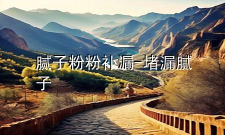 腻子粉粉补漏-堵漏腻子