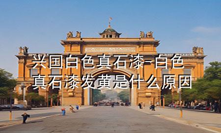 兴国白色真石漆-白色真石漆发黄是什么原因
