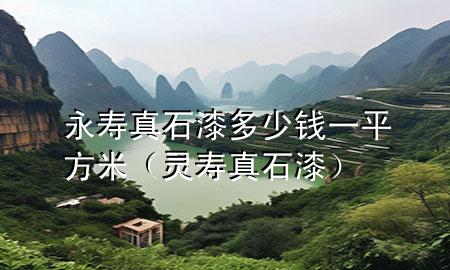 永寿真石漆多少钱一平方米（灵寿真石漆）