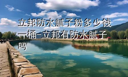 立邦防水腻子粉多少钱一桶-立邦有防水腻子吗
