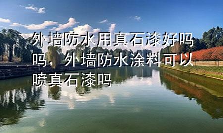 外墙防水用真石漆好吗吗，外墙防水涂料可以喷真石漆吗