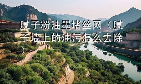 腻子粉油墨堵丝网（腻子墙上的油污怎么去除）