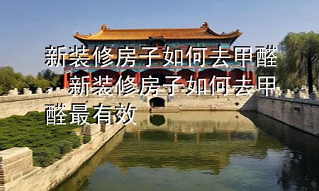 新装修房子如何去甲醛，新装修房子如何去甲醛最有效