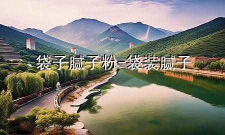 袋子腻子粉-袋装腻子