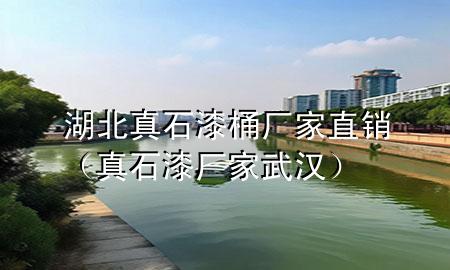 湖北真石漆桶厂家直销（真石漆厂家武汉）