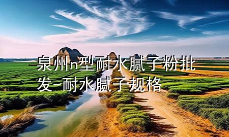 泉州n型耐水腻子粉批发-耐水腻子规格