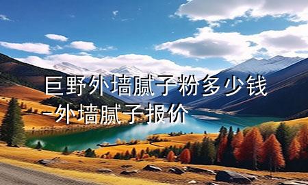 巨野外墙腻子粉多少钱-外墙腻子报价