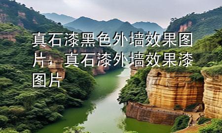 真石漆黑色外墙效果图片，真石漆外墙效果漆图片