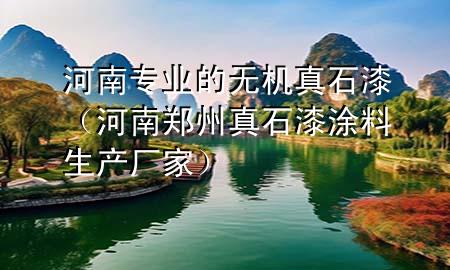 河南专业的无机真石漆（河南郑州真石漆涂料生产厂家）