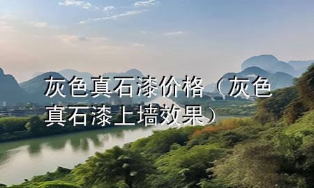 灰色真石漆价格（灰色真石漆上墙效果）