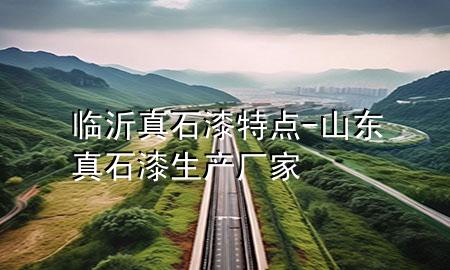 临沂真石漆特点-山东真石漆生产厂家