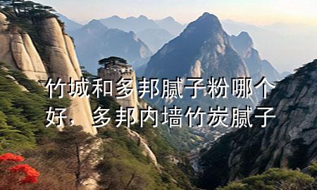 竹城和多邦腻子粉哪个好，多邦内墙竹炭腻子