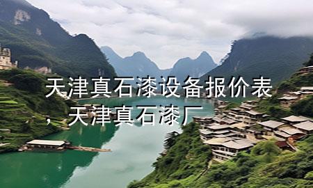 天津真石漆设备报价表，天津真石漆厂