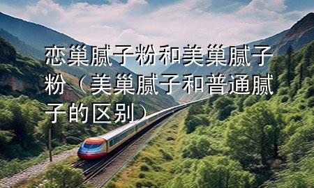 恋巢腻子粉和美巢腻子粉（美巢腻子和普通腻子的区别）